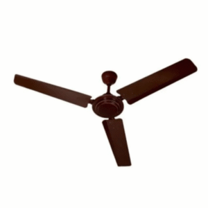 Popular Ceiling Fan